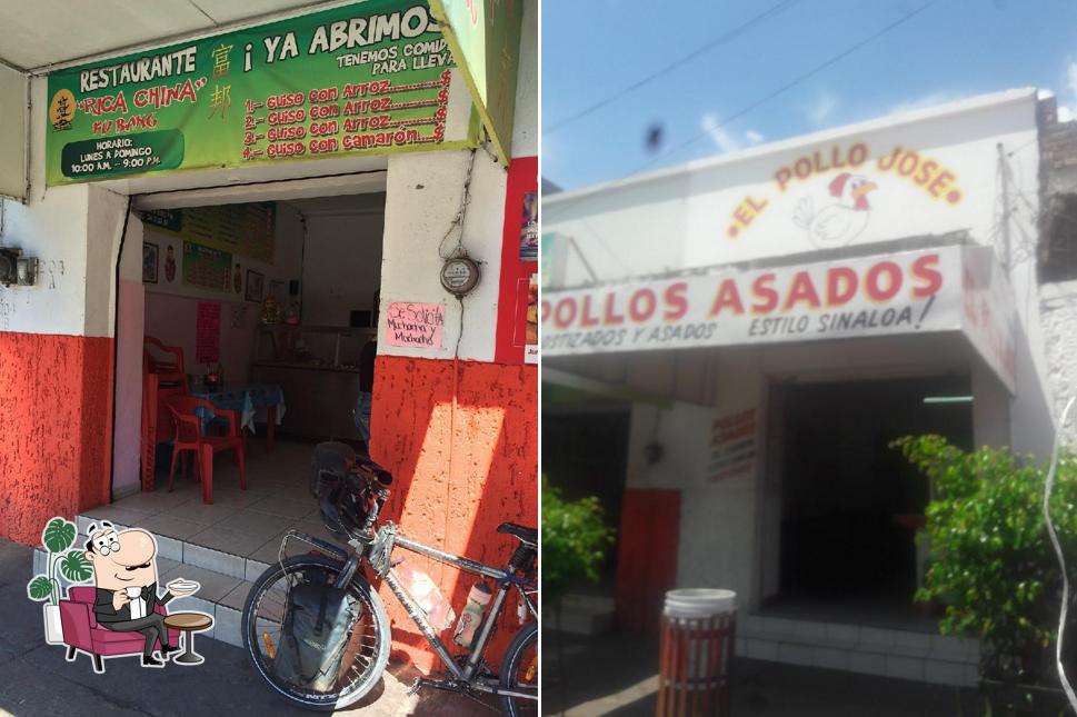 Pollo José