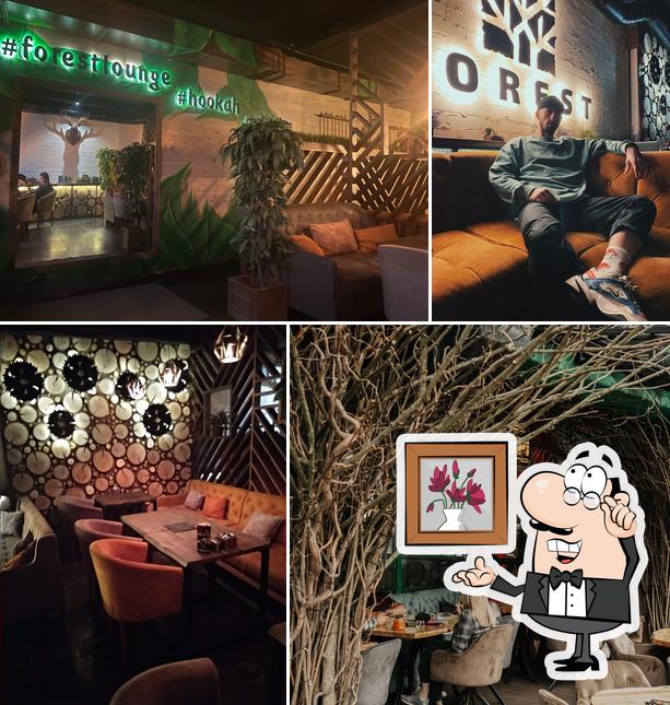 Forest lounge