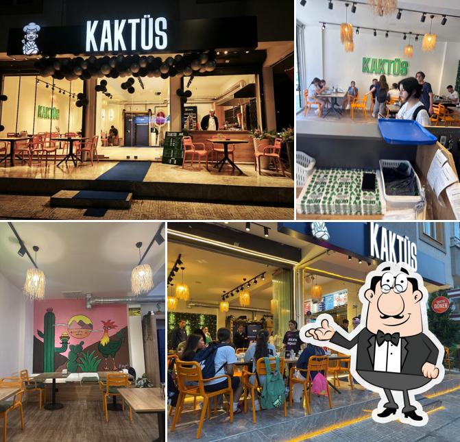 KAKTÜS