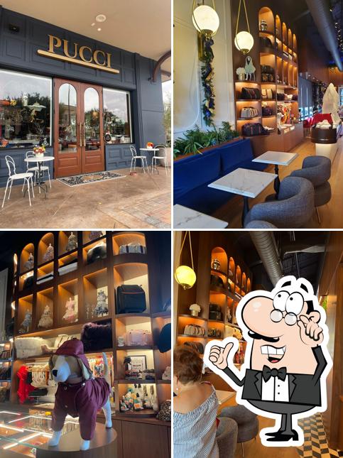 PUCCI Café
