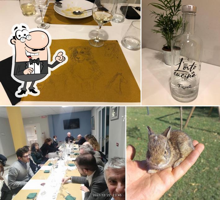 L'orto in cucina