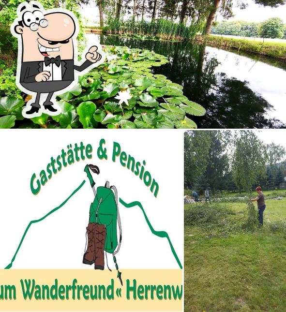 Посмотрите, как "Gaststätte und Pension Zum Wanderfreund" выглядит снаружи