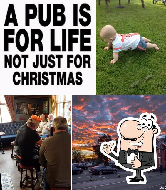 Bull Codsall