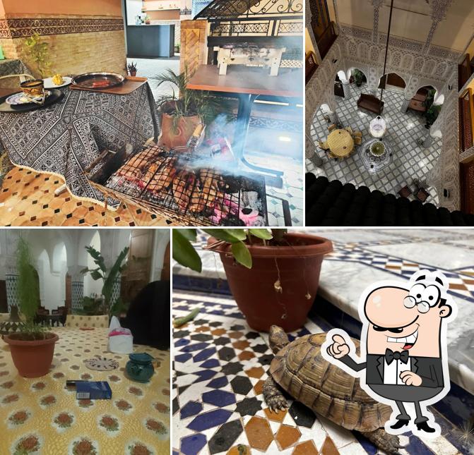 Palais Marouane Riad & Restaurant