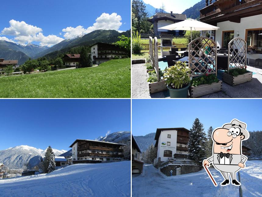 Apart Tuxertal