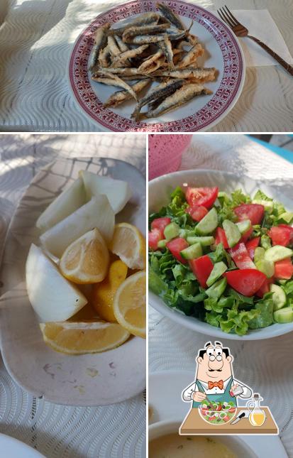 Barakat Balıkçılık