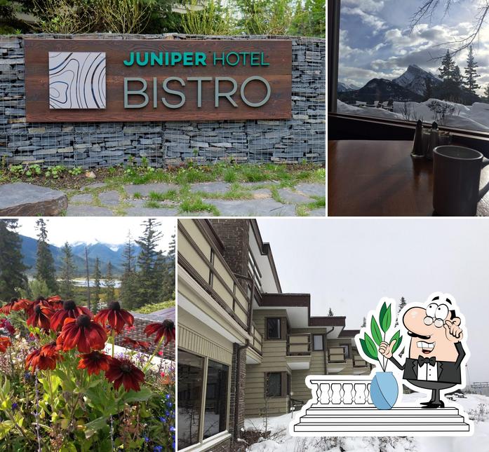The Juniper Bistro