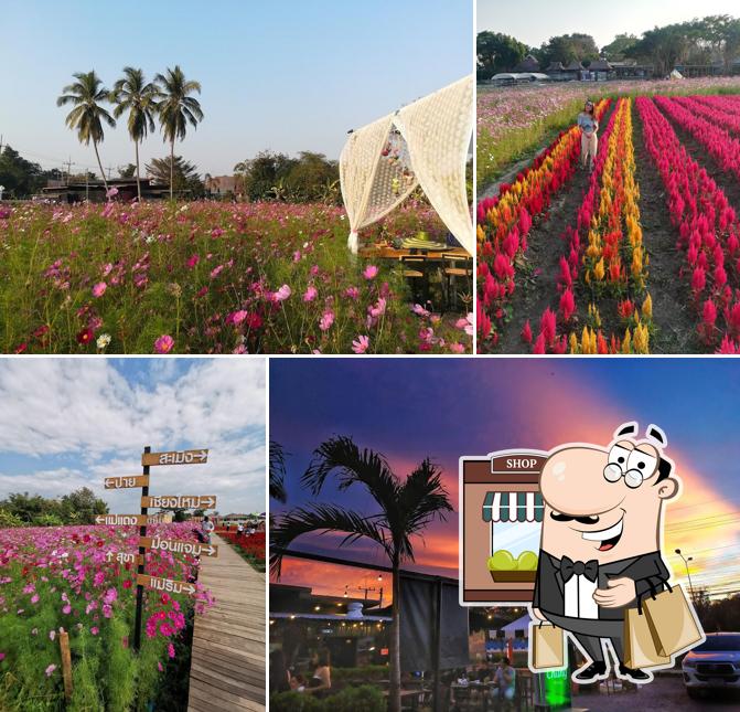 ร้านแสงจันทร์