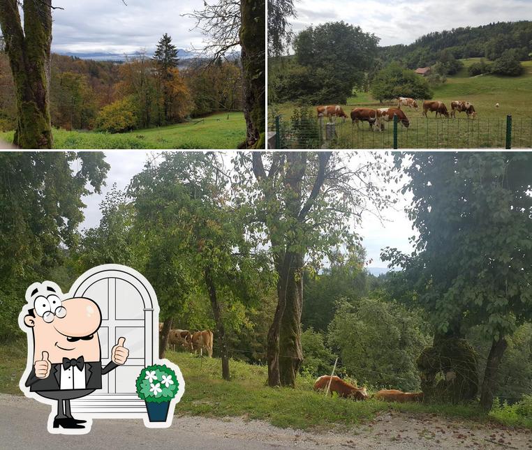 Gostilna Ručigaj Ručigaj Anton s.p.