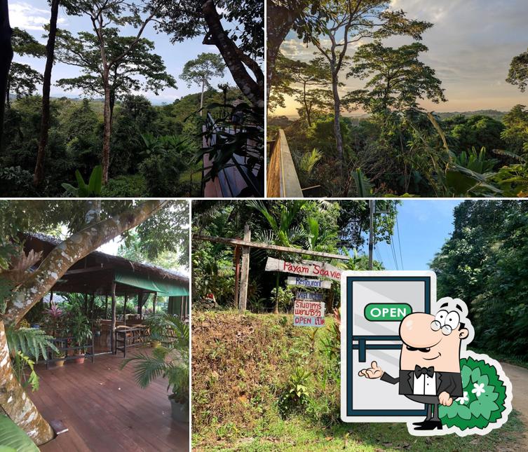 Payam Seaview