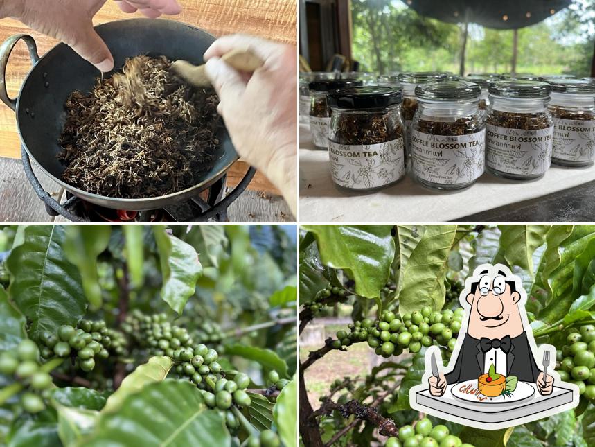 ไร่กาแฟไพรวัลย์ Priwan valley