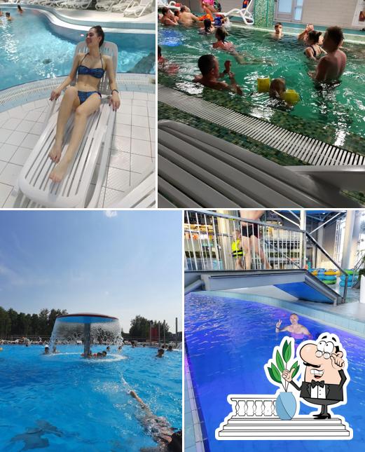 Внешнее оформление "Waterpark Lebyazhy"