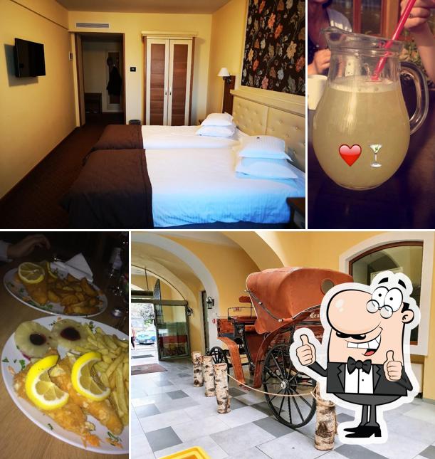 Hotel Leul de Aur Sebes
