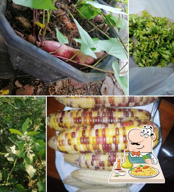 Family farm ครอบครัวรักษ์เกษตร