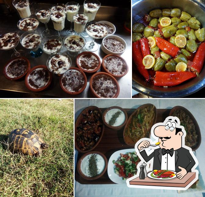Kaptan'ın Yeri