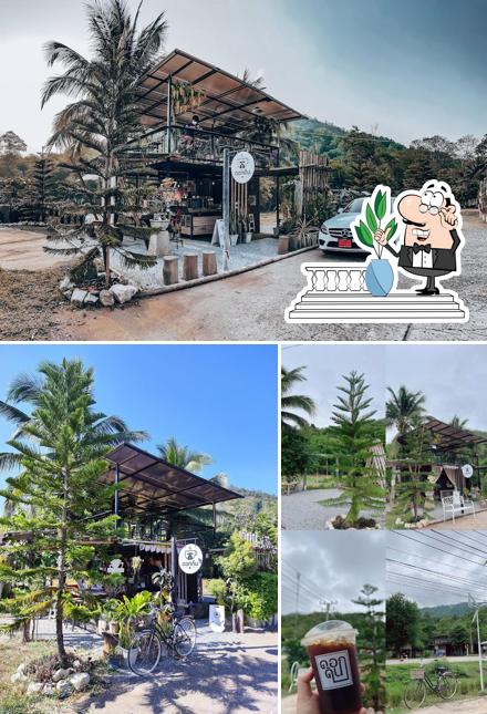 ดอกดิน Dokdin Cafe’