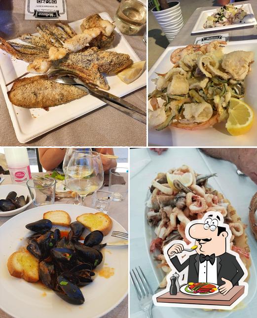 Il Mollusco