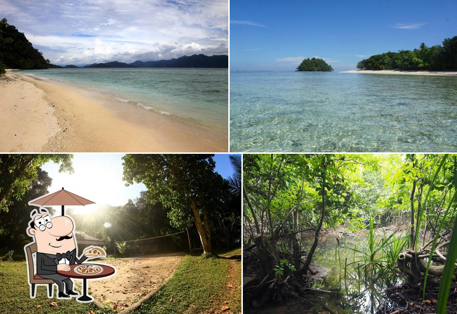 Rimba Ecolodge