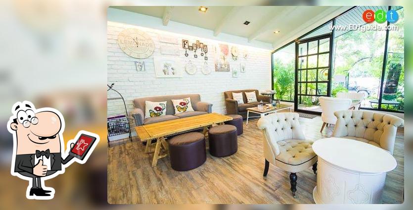 Fern Freeze Cafe