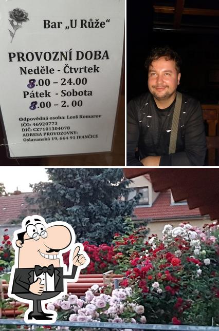 U růže