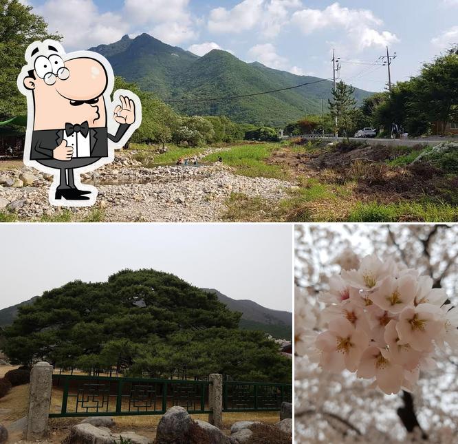 칠성가든
