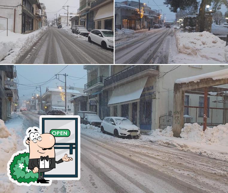 Μαύρος Γάτος