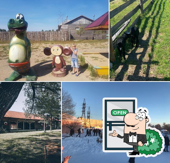 Кантри парк Задворки