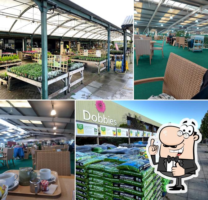 Dobbies Garden Centre Gailey