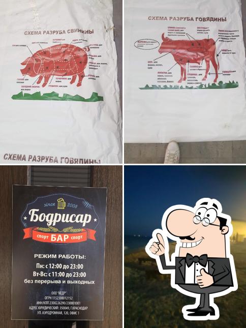 Бодрисар