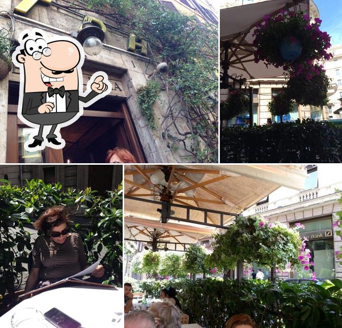 Trattoria Tritone