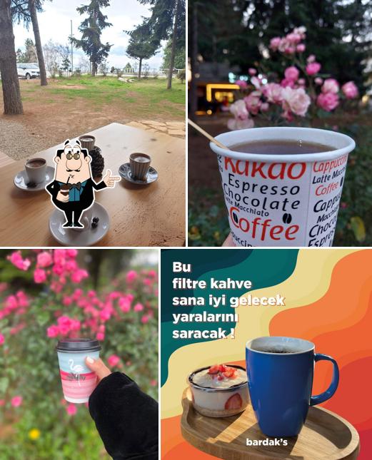 bardak’s KTÜ