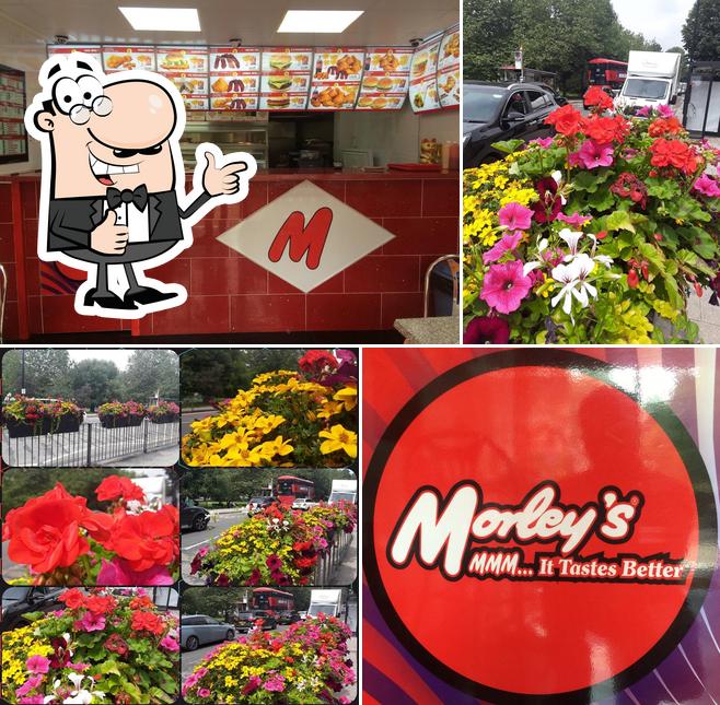 Morley's Sutton