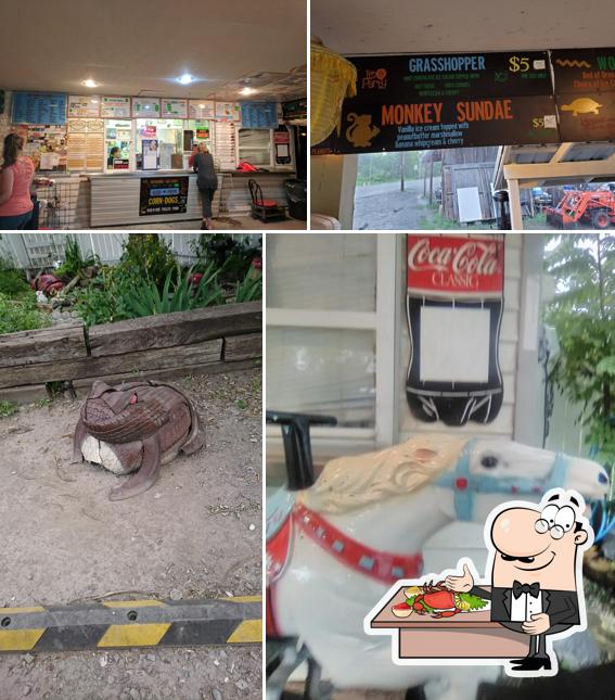 Toad's Too Ice Cream Oasis