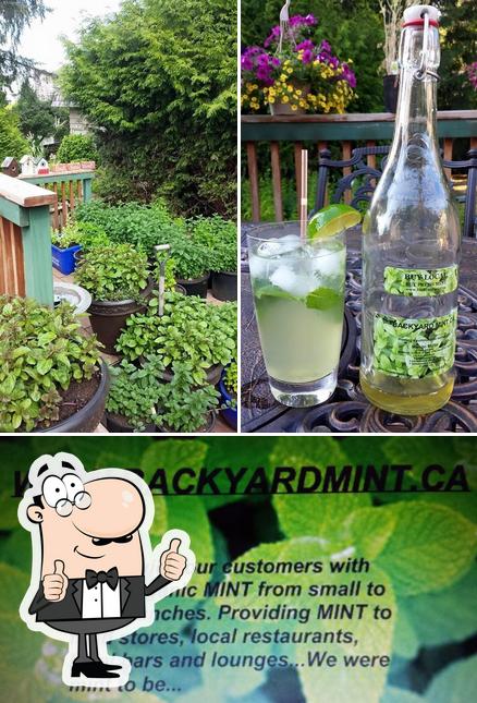 Backyard Mint