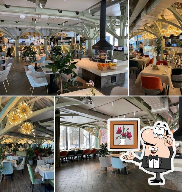 Риччи Каприччи