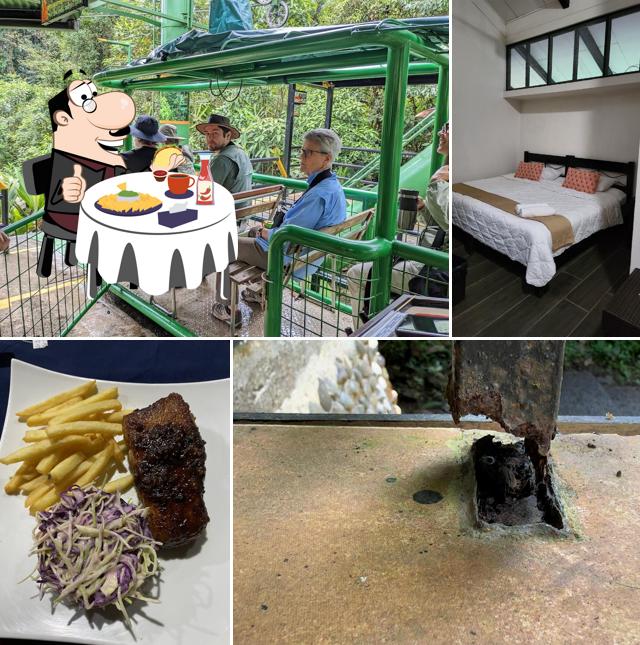 Tapirus Lodge