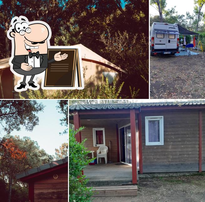 Camping Santa Lucia