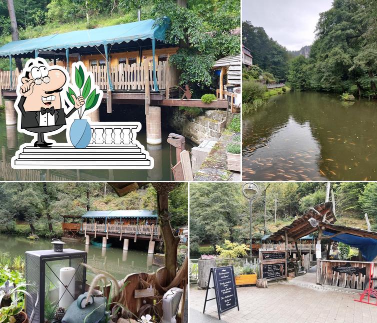 Trout Smokehouse