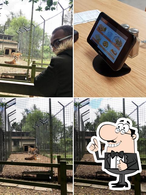ZSL Base Camp Restaurant- Whipsnade Zoo