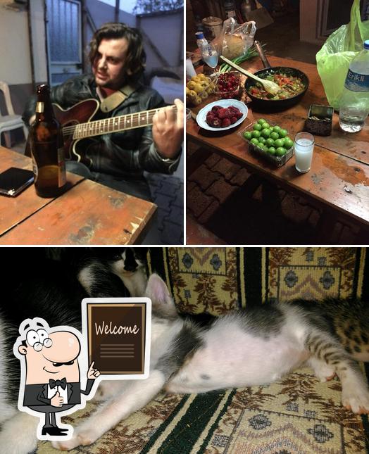 Çiçek Bar