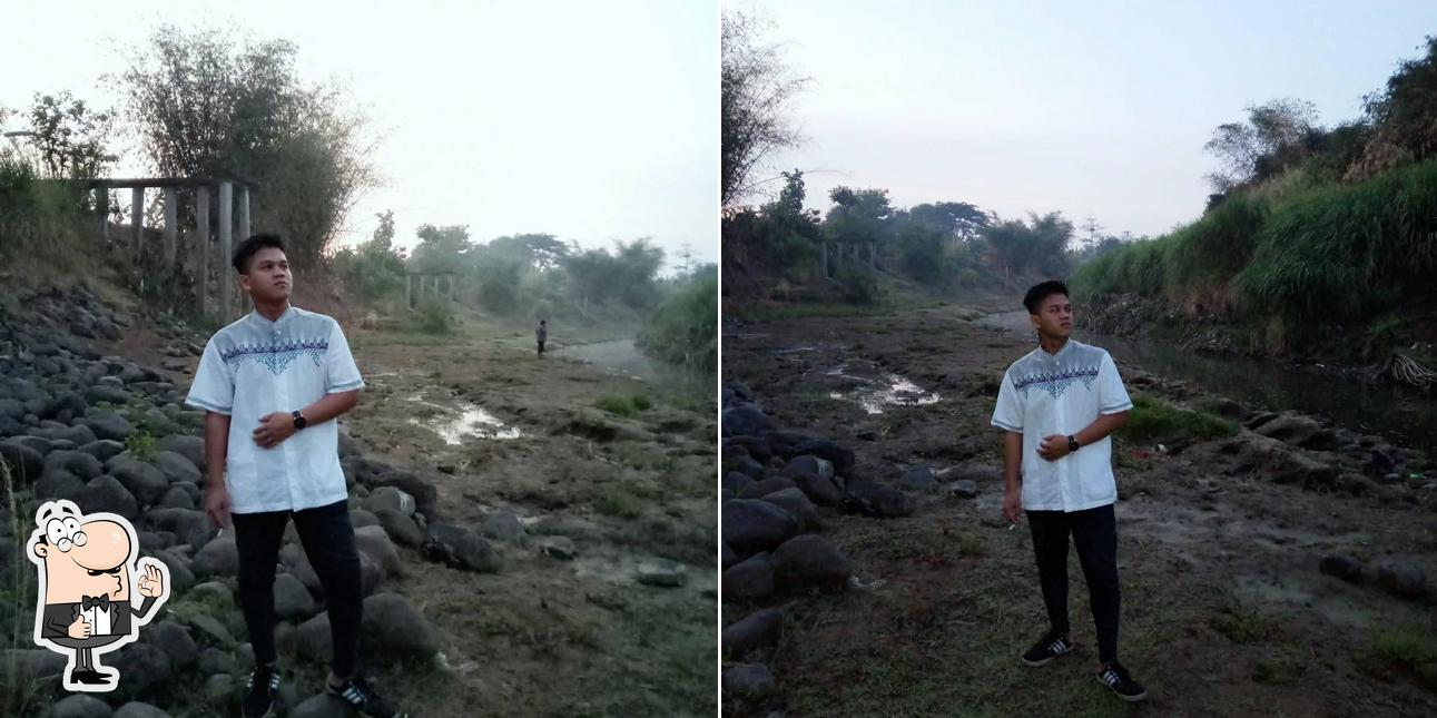 Swike ciledug