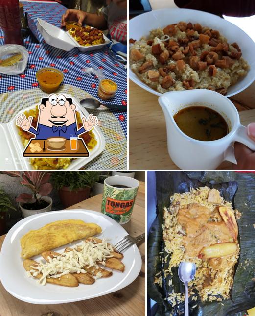 BOLOVER, Tongas y Tigrillos
