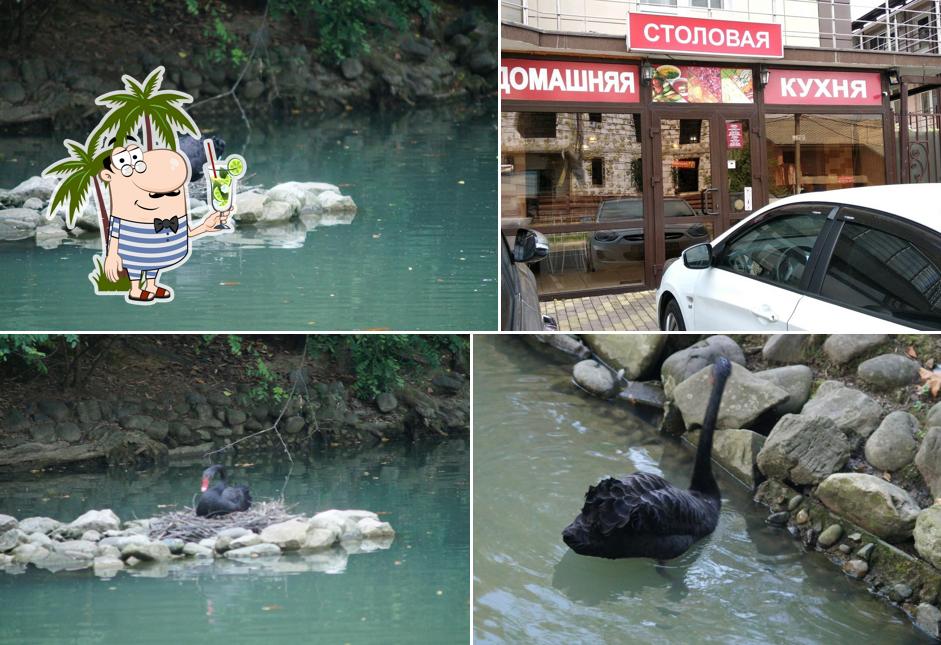 Домашняя кухня