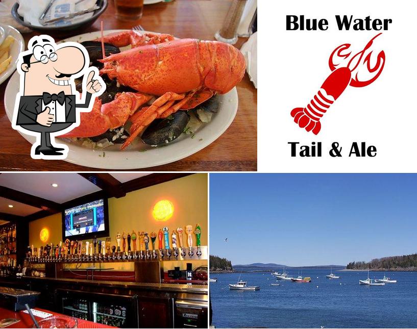Blue Water Tail & Ale Blue Hill ME