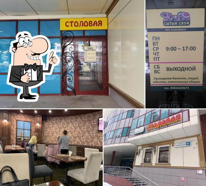 Сытый слон