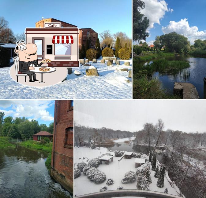 Старая мельница