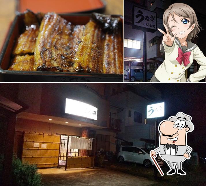 Haruta