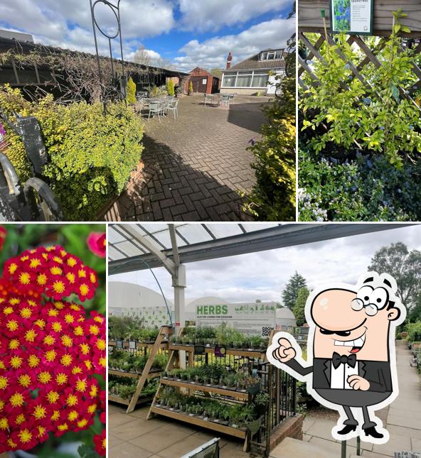 Stringers Garden Centre