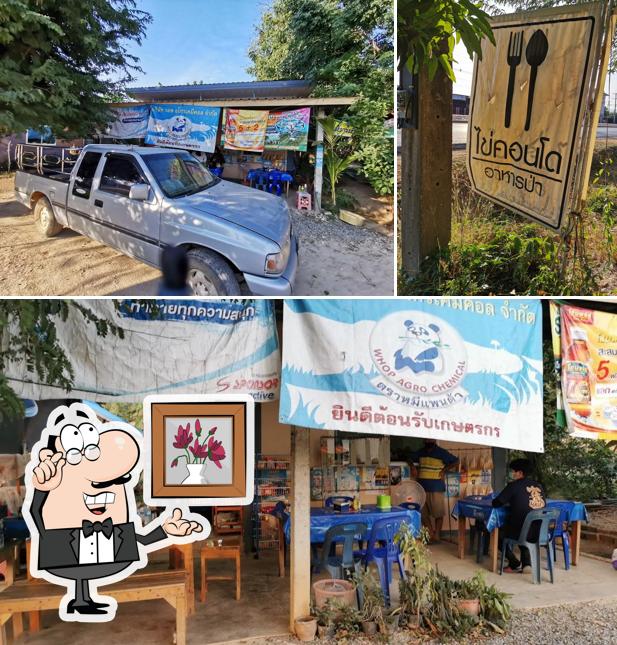 ร้านไข่คอนโด​ อาหารป่า