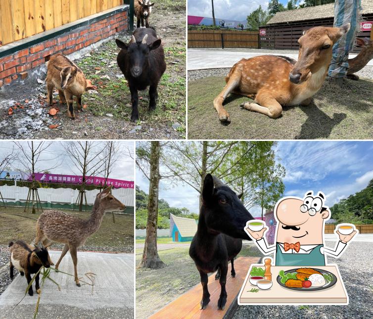 長埤湖-水行俠主題樂園